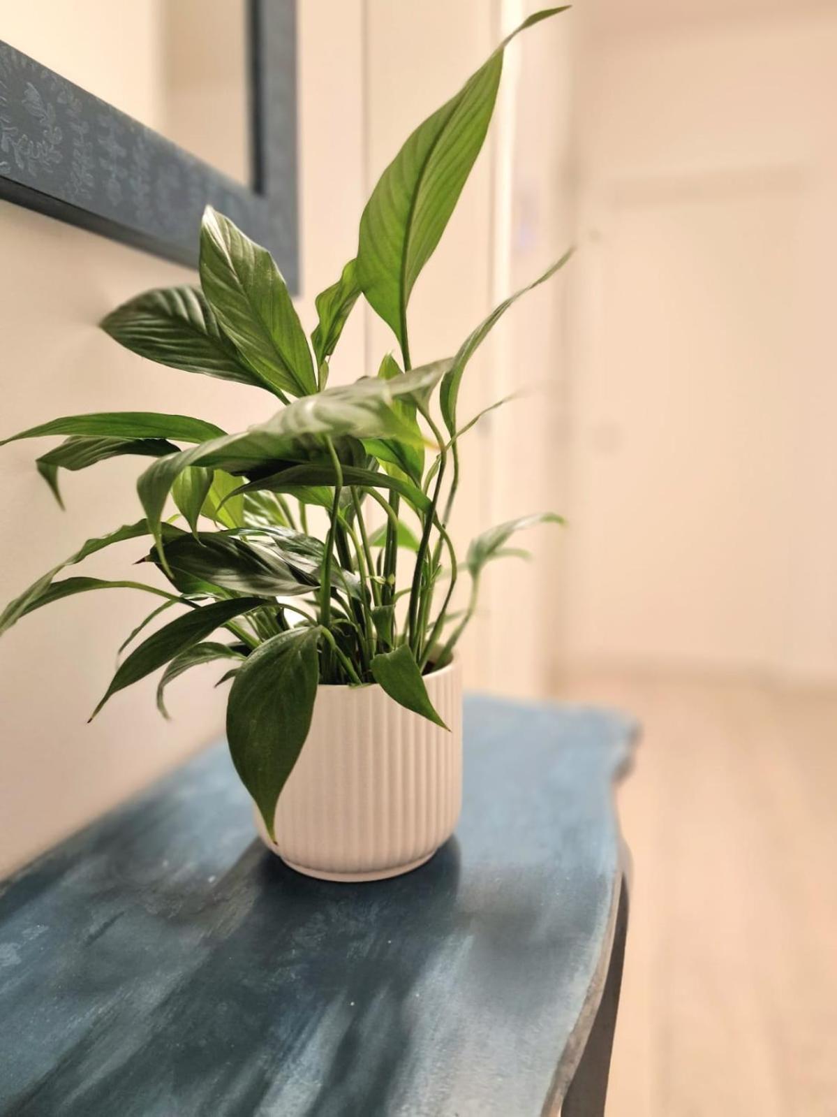 Appartamento Holidhome - Casa Marbel - Nuovo Con Garage A Zona Ospedale *